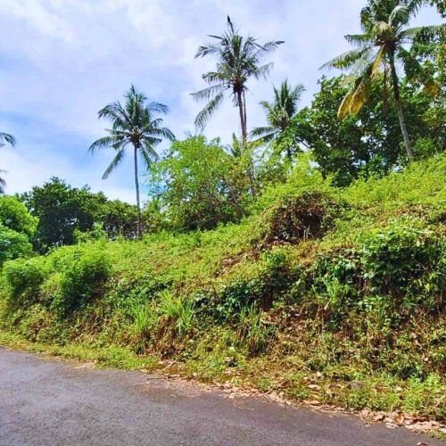 big road access