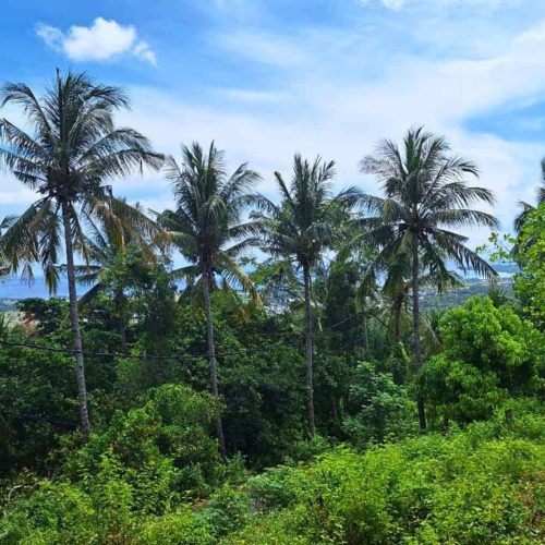 face to Gili island