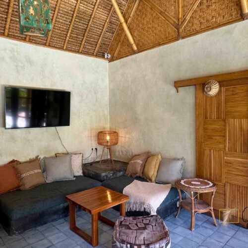 living room1
